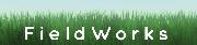 FieldWorks LLC Logo